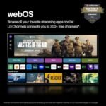 تلفزيون LG الذكي OLED من سلسلة B4 مقاس 65 بوصة بمعالج 4K وشاشة مسطحة مع جهاز التحكم عن بُعد Magic Remote المدعوم بالذكاء الاصطناعي والمزود بخدمة Alexa المدمجة (OLED65B4PUA، 2024) - الصورة 5